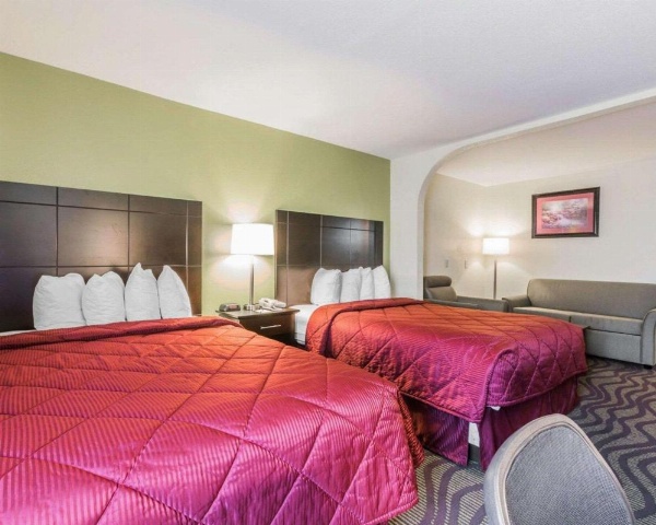 Quality Inn & Suites near Coliseum and Hwy 231 North image 23